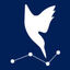 Data Dive Icon