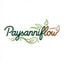 Paysanniflow Logo