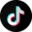 TikTok Logo