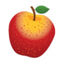 Foodease Logo