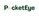 PocketEye Logo