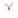 PRAXISVA Logo