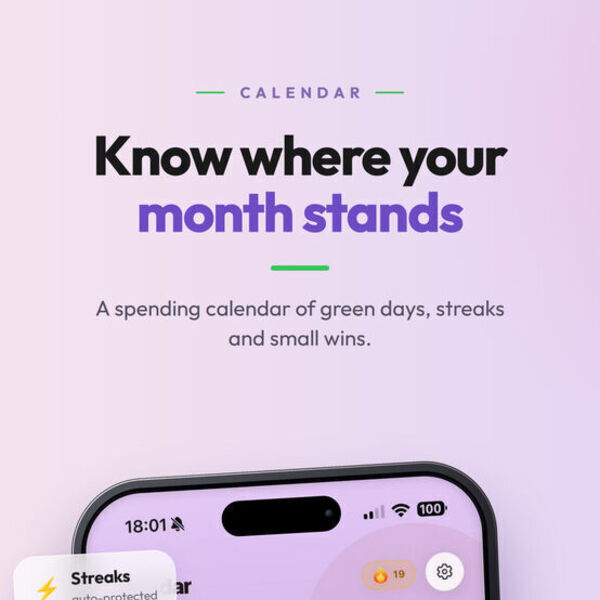 Spendaily Screenshot 9
