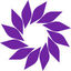 Practice Evolve Logo