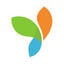 Yii Logo