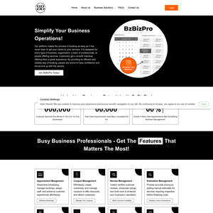 BzBizPro Screenshot