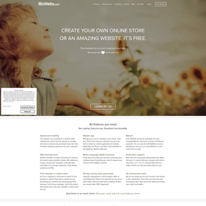 BizWebs Screenshot
