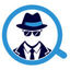 Not So Secret Agent Logo
