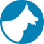 Dogteampro Icon