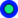 VideoPoint Logo