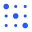 Privacera Logo