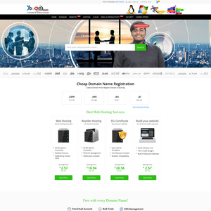 YoursDomain Screenshot