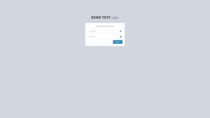 DEMO TEST Screenshot