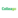 Colleago Logo