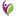 Transcure Icon