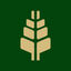 Grain Ledger Icon