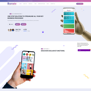 bizmate Screenshot