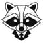 Funky Raccoon Logo