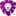 CoinLion Icon