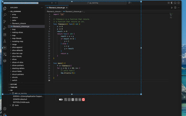 RegionMirror Screenshot 4