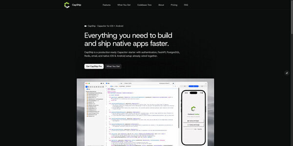 CapShip Screenshot 1