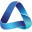 BusinessFlow Logo