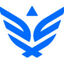 Synack Icon