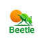 Beetle Icon