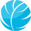DSE Logo