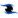 BimaEyes Logo