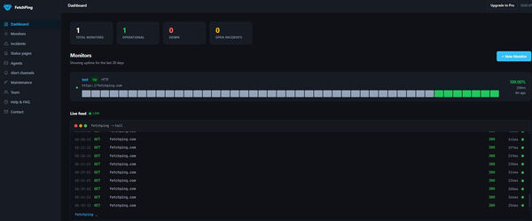 FetchPing Screenshot 2