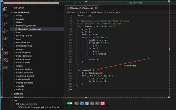 RegionMirror Screenshot 3