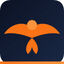 PitchBird