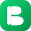 BongoPay Icon
