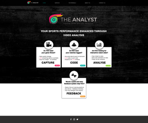 THE ANALYST Screenshot