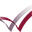 US Wellness Logo