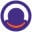 Pazo Logo