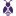 PurpleWASP Logo