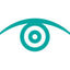 Voodoo Security Logo