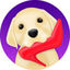 Pet Monitor VIGI Logo