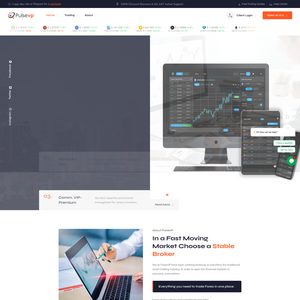 PulseVP Screenshot
