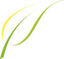 eRealSign Logo