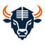 HVAC Bison