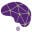 XLNTBrain