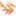 MarketDragon Logo