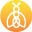 SocialGlow