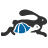 Race Entry Logo