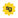 SermonGallery Icon
