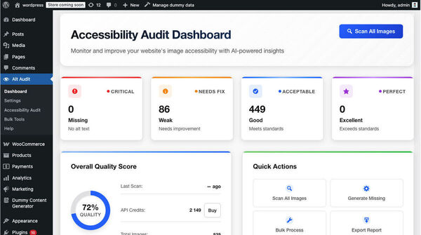 Alt Audit Screenshot 2