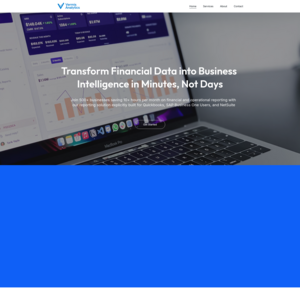 Vermis Analytics Screenshot